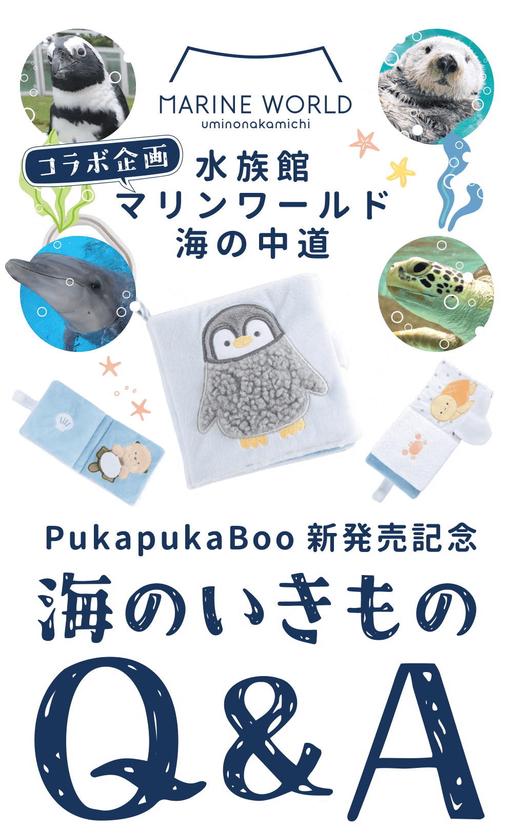海のいきものＱ＆Ａ｜PukapukaBoo プカプカブー 01