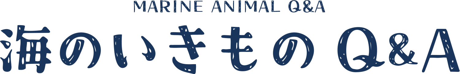 海のいきものＱ＆Ａ｜PukapukaBoo プカプカブー 03