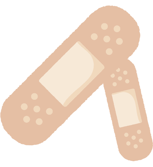 海のいきものQ&A|PukapukaBoo プカプカブー 09