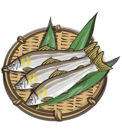 海のいきものQ&A|PukapukaBoo プカプカブー 09