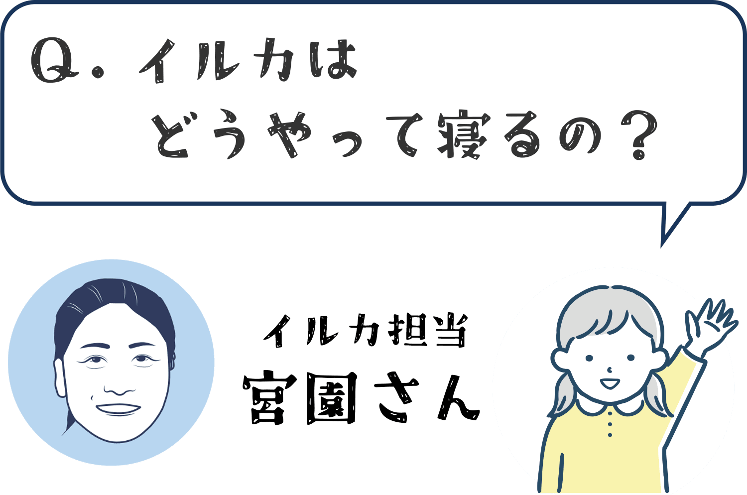海のいきものＱ＆Ａ｜PukapukaBoo プカプカブー 06