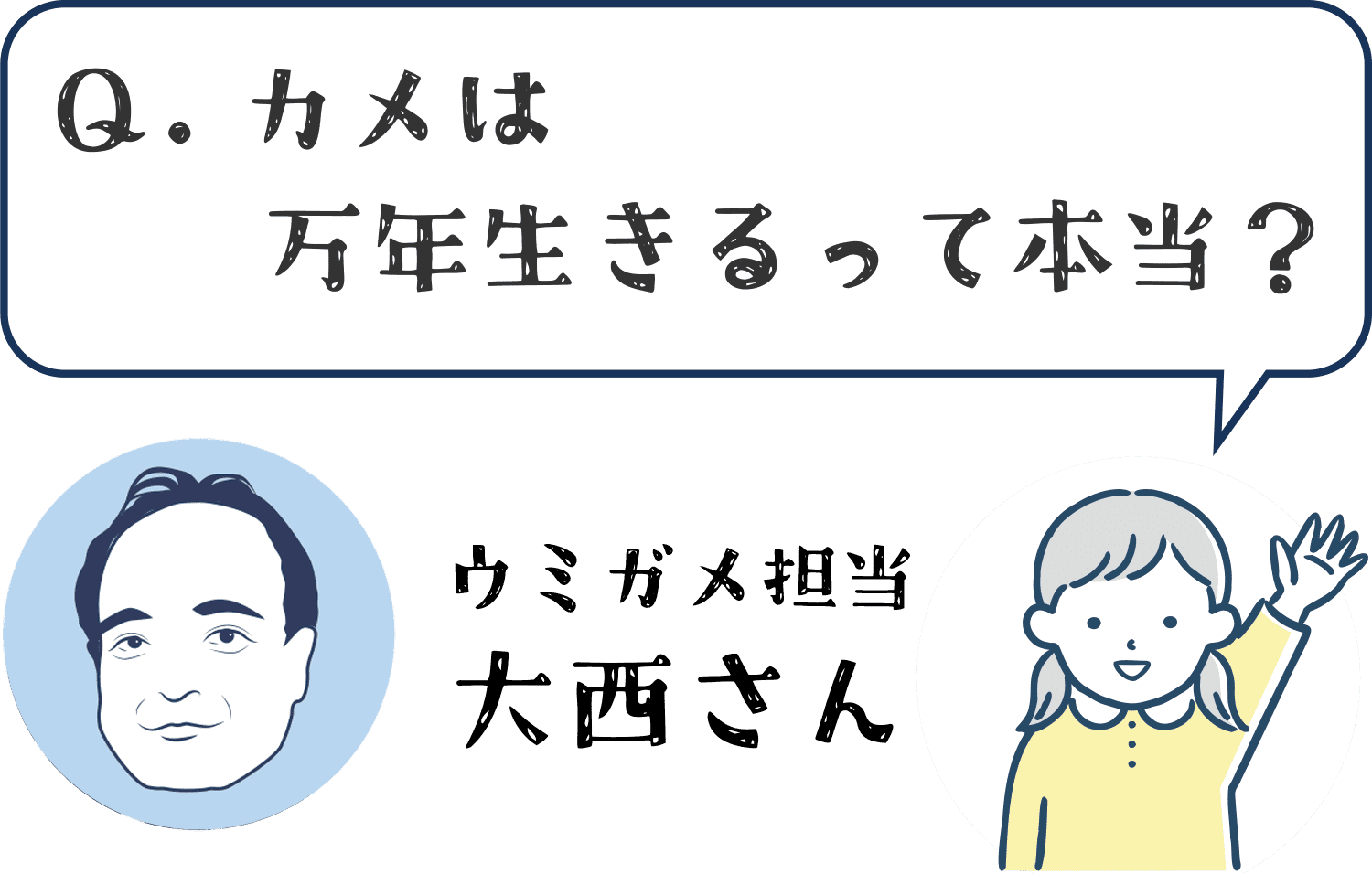 海のいきものＱ＆Ａ｜PukapukaBoo プカプカブー 06