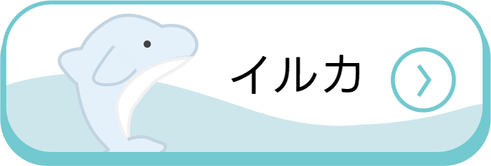 海のいきものQ&A|PukapukaBoo プカプカブー イルカ