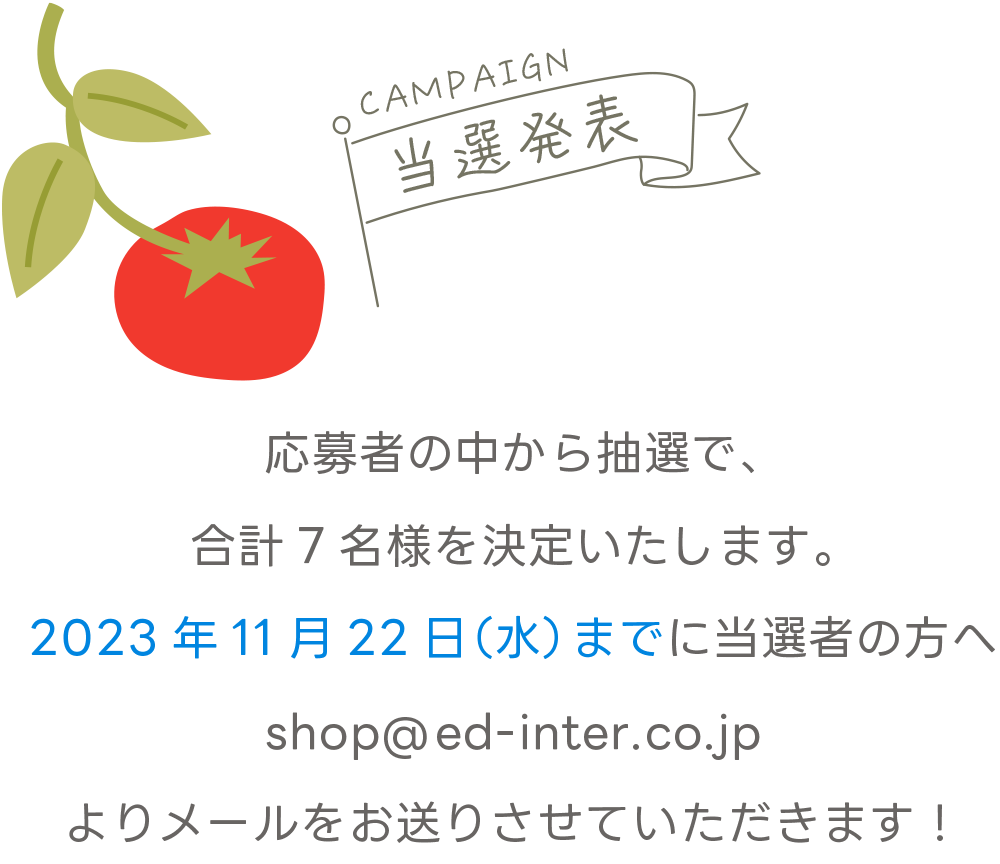 布絵本 taftoys うさぎのアクティビティブック14