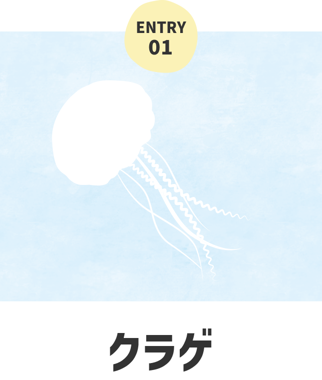 海のいきもの くらげ