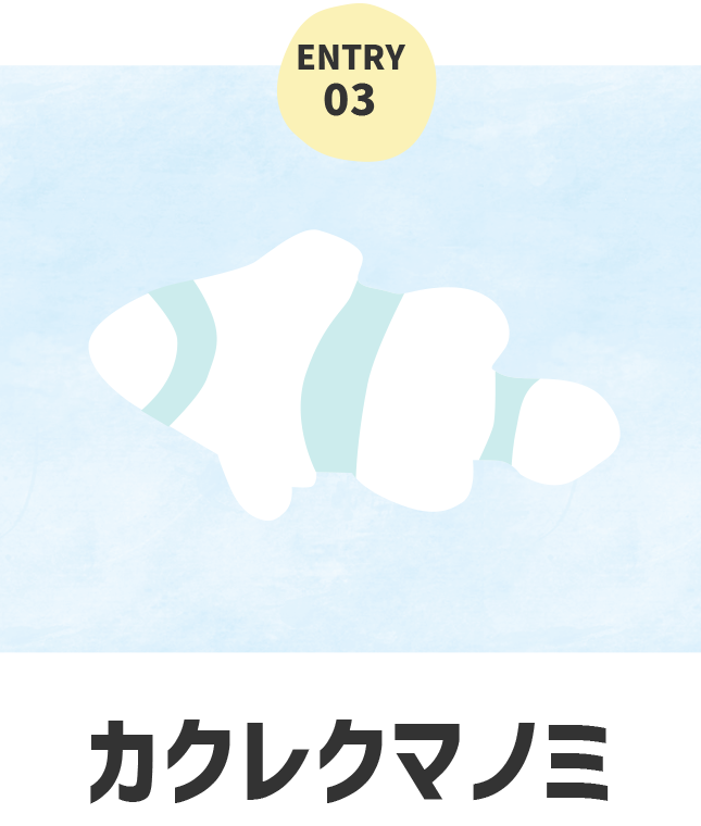海のいきもの カクレクマノミ