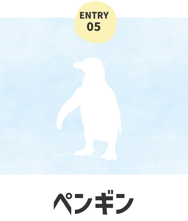 海のいきもの ペンギン