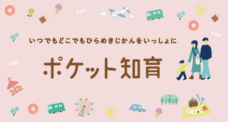 ギフトにおすすめな手軽に楽しめる知育玩具│ポケット知育