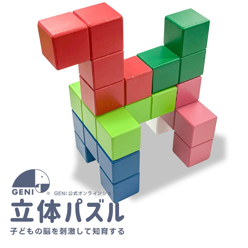 立体パズル GENI