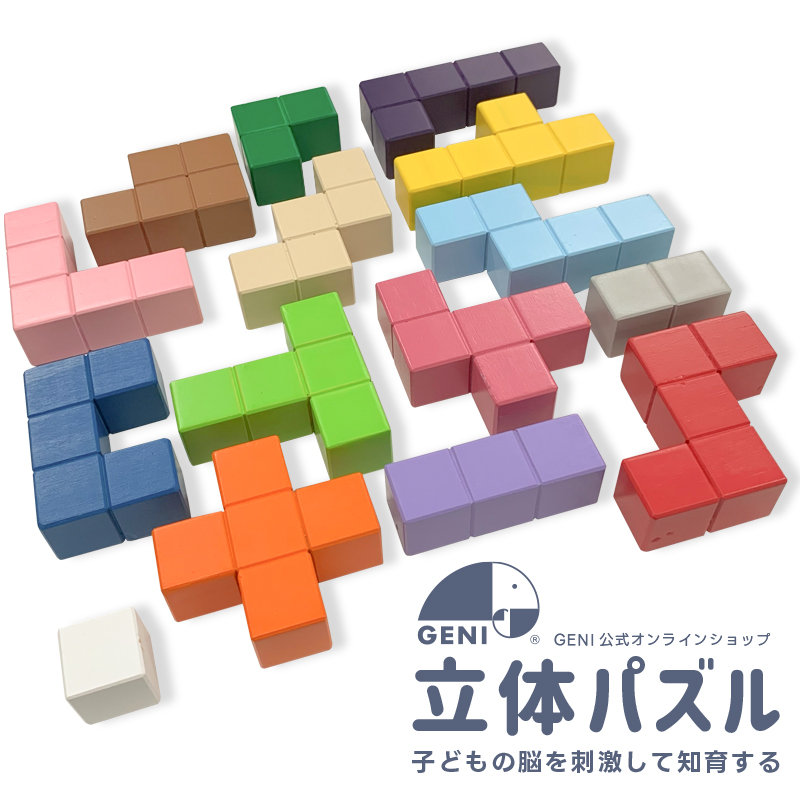 立体パズル GENI 育脳 脳トレパズル