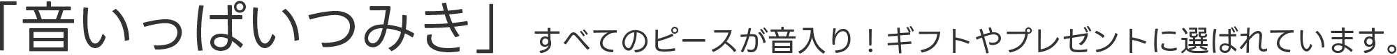 音いっぱいつみき 積み木 知育玩具 02