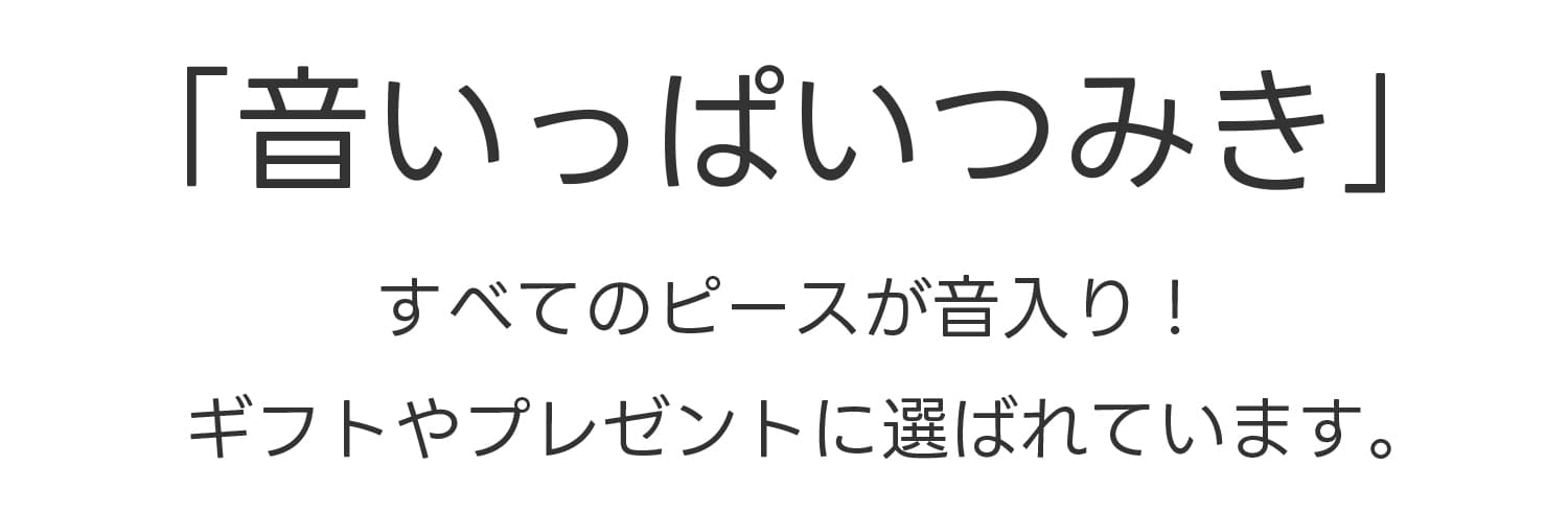 音いっぱいつみき 積み木 知育玩具 02