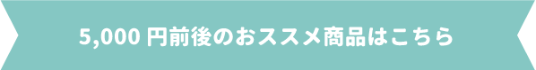5000円前後のおススメ商品