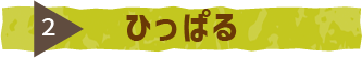 ひっぱる