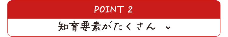 知育要素がたくさん！