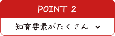 知育要素がたくさん