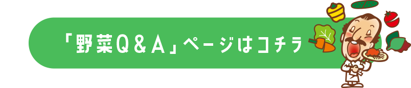 ままごとピエトロドレッシングサラダセット 2