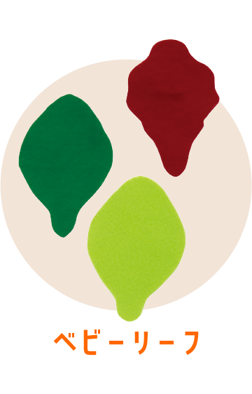 ベビーリーフ