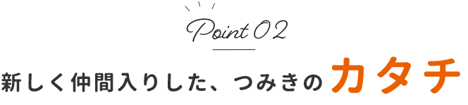 新しく仲間入りした、つみきのカタチ