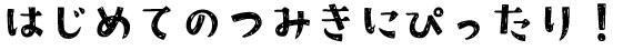 はじめてのつみきにぴったり
