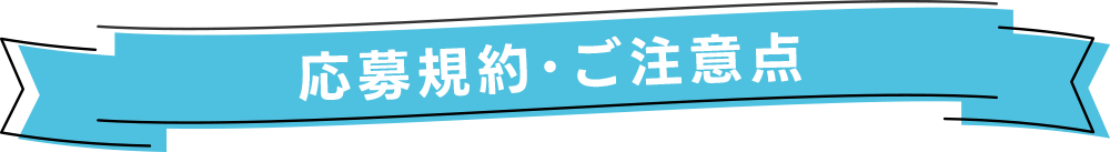 プレゼントキャンペーン 12