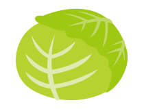 レタス　野菜クイズ