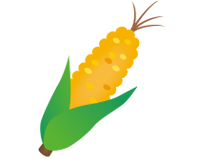 トウモロコシ　野菜クイズ