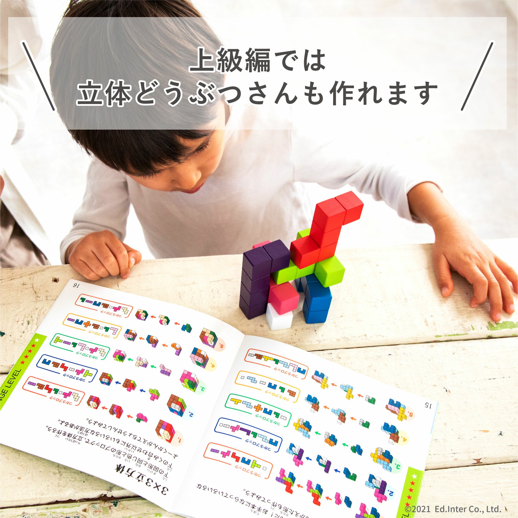 立体パズル 知育玩具 木のおもちゃ GENI