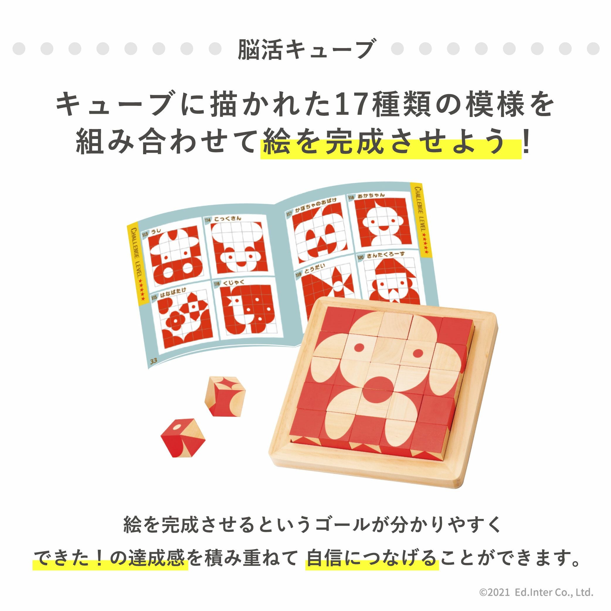 在庫限定]脳活キューブ 知育玩具 木のおもちゃ GENI