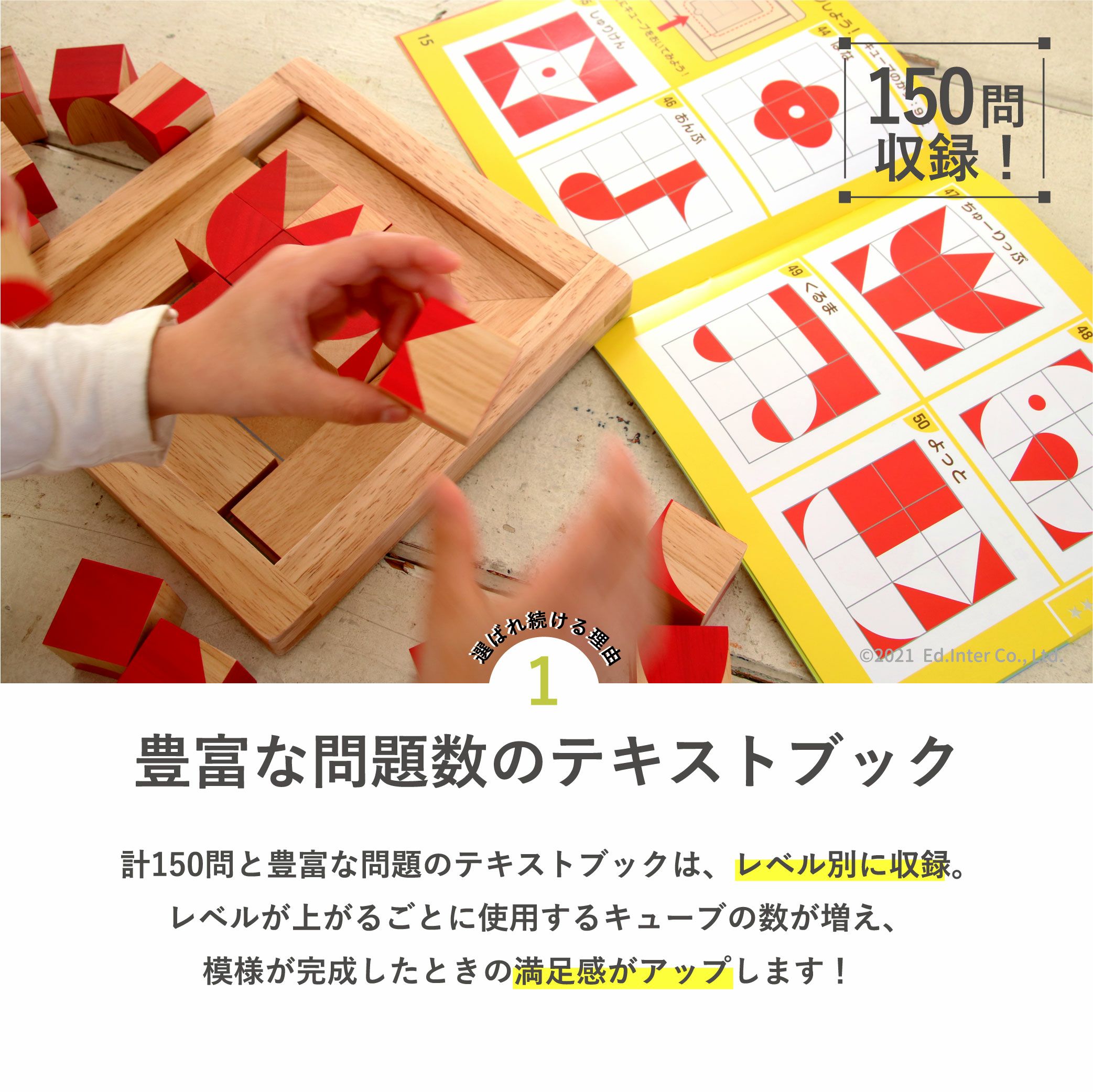 在庫限定]脳活キューブ 知育玩具 木のおもちゃ GENI