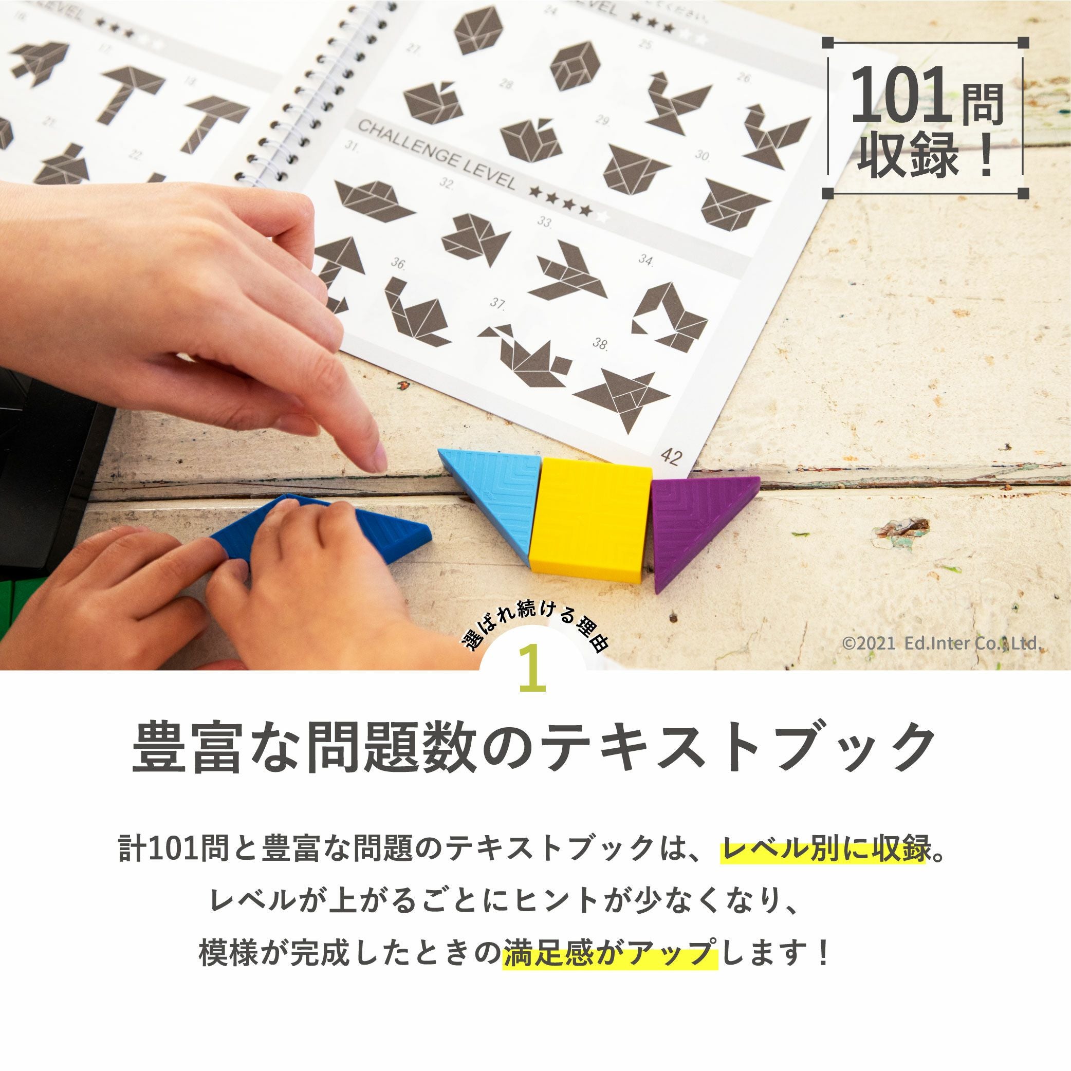 脳力タングラム 知育玩具 木のおもちゃ GENI