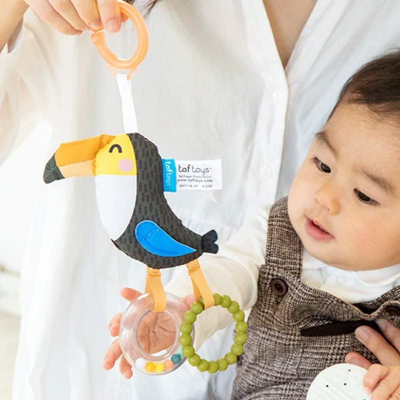 販売終了]サバンナのトリラトル 知育玩具 木のおもちゃ GENI