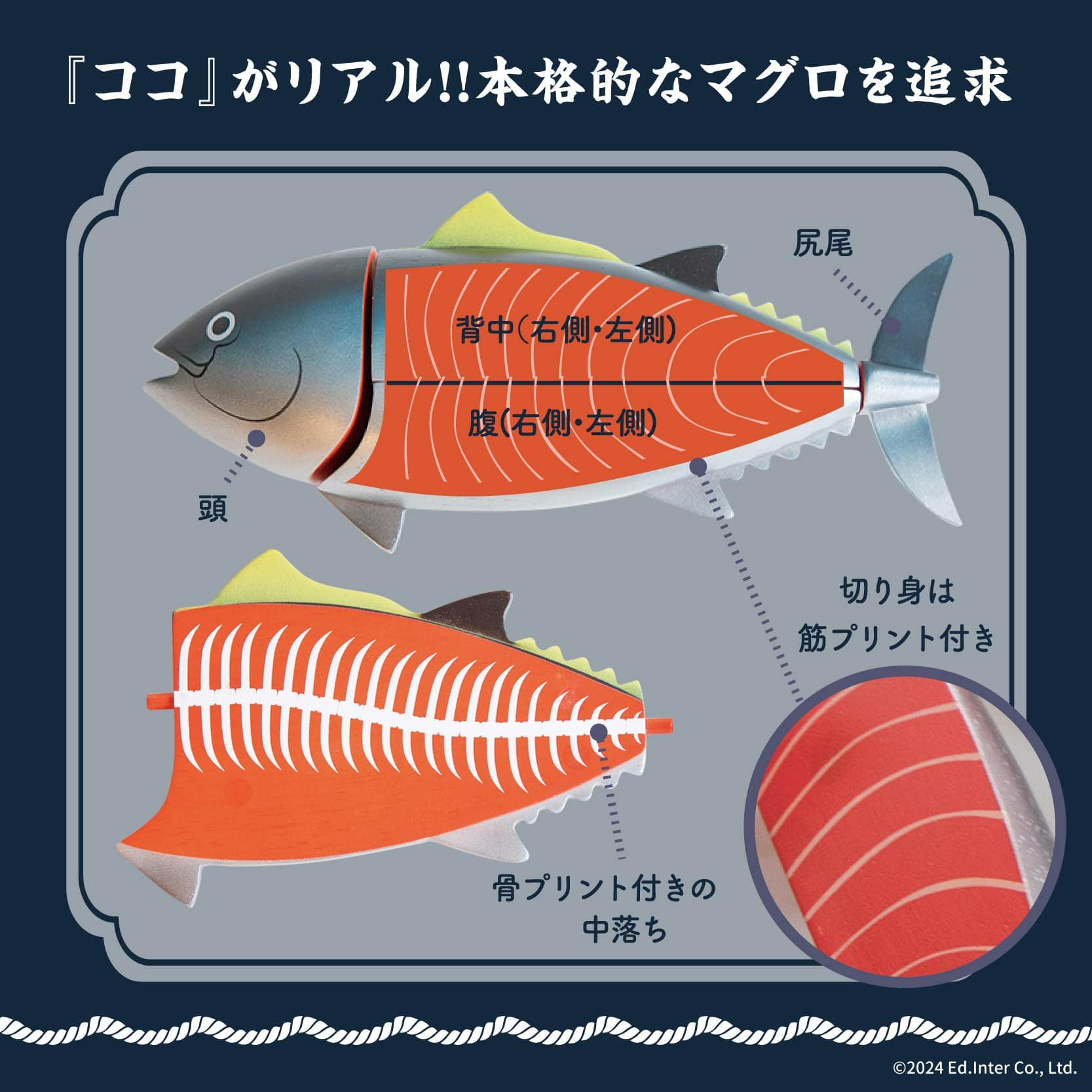 マグロ解体！寿司職人セット｜GENI[ジェニ]公式