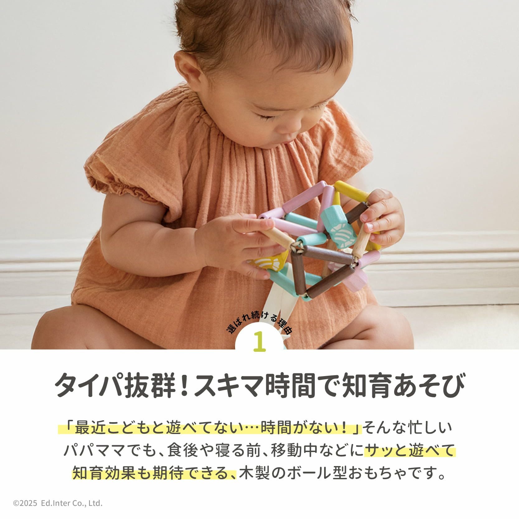 子供用品 キッズ用品 幼児教育 エド・インター（Ed・Inter） お片付袋付 木のおもちゃ 知育玩具 1歳