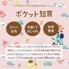 GENI ポケット知育「ぐるぐるアイスクリームラボ」｜コンパクトな知育玩具 マグネットペンでボールを運ぶ迷路あそび