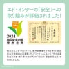 幼児教室監修の知育玩具｜GENI（ジェニ）ポケット知育「ぐるぐるアイスクリームラボ」マグネットペンで球を運ぶ迷路遊び