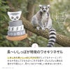 幼児教室監修の知育玩具GENI（ジェニ）│ゆらゆらスタッキングトイ ねぼすけ Lulu -ルル-