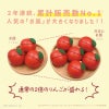 幼児教室監修GENI（ジェニ）のおままごと│大きいお皿