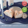Swan Looping Castle-スワンルーピングキャッスル-